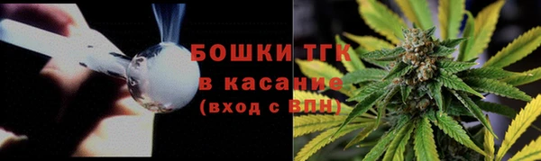 PSILOCYBIN Усмань
