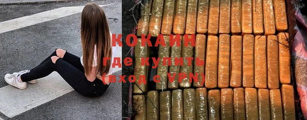 PSILOCYBIN Усмань