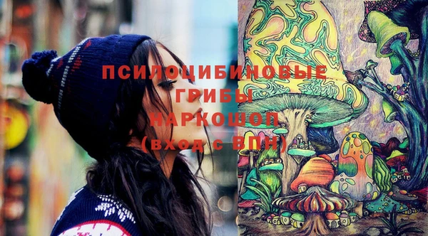 PSILOCYBIN Усмань